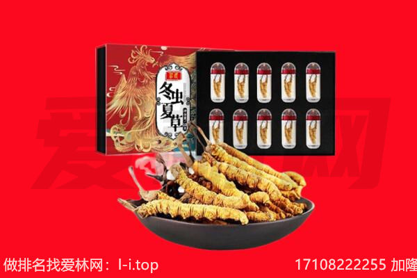 洛阳市洛龙回收虫草.jpg